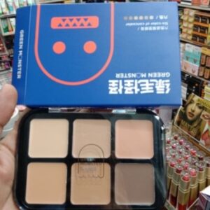 6 colors of Concealer Pallate